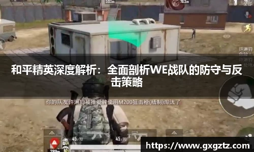 和平精英深度解析：全面剖析WE战队的防守与反击策略